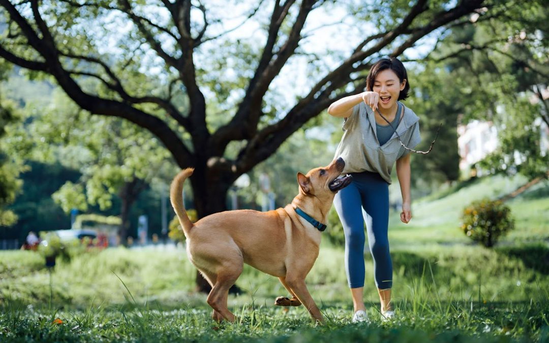 Celebrating Nutrition Month with Maxime: Health Tips for Your Pets