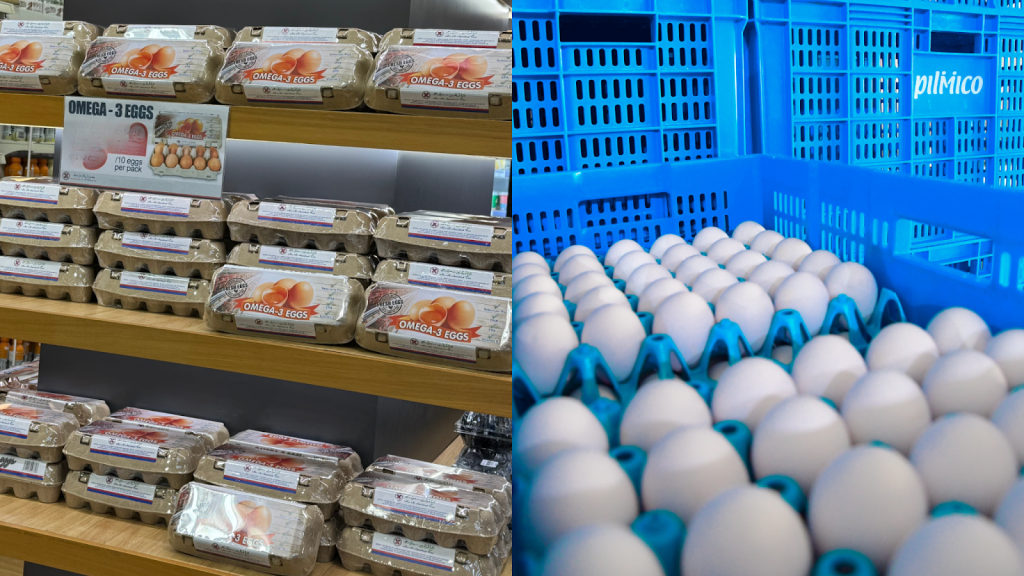 Pilmico Farms eggs